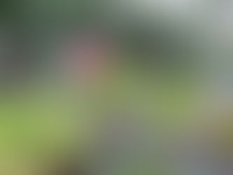 今年もよろしくお願いいたします