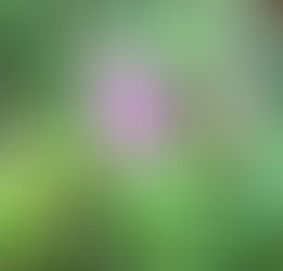 die Pause10月の予定は