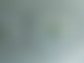 拓画、掛けかえました