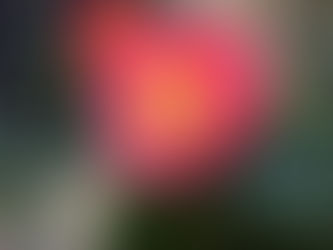 ケアラーズカフェ「diePause｣今日12：30～開催します。