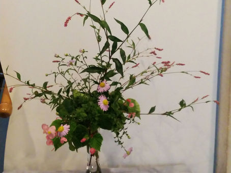 わが家の花 162