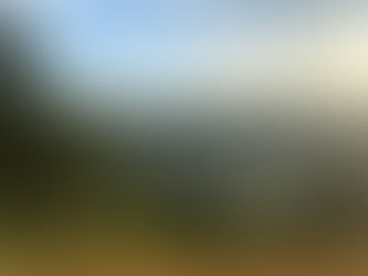 Road-tripping from Oregon to Princeton Seminary (Summer 2019)