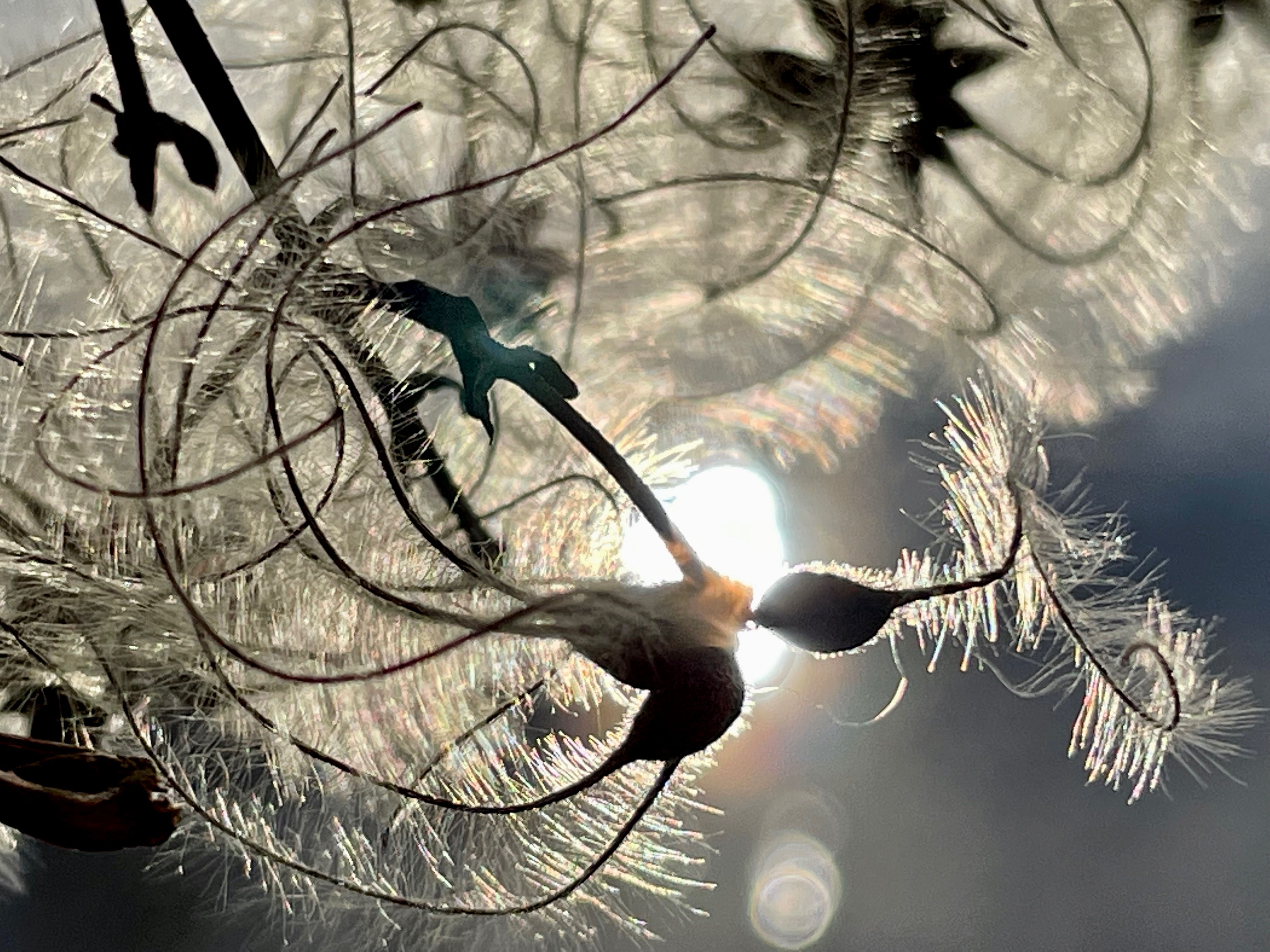 Ich verbinde mich mit deiner Akasha Chronik in deiner Anwesenheit.  Empfange Antworten und Botschaften auf 2 – 3 deiner dringlichsten Fragen. Vorab empfange ich eine persönliche Botschaft für dich.