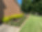 IMG_1823.JPEG