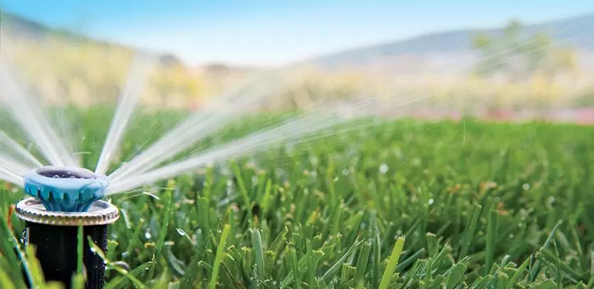 An efficient MP Rotator sprinkler nozzle used by Dixon Landscape Services