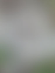 First official hike of the season