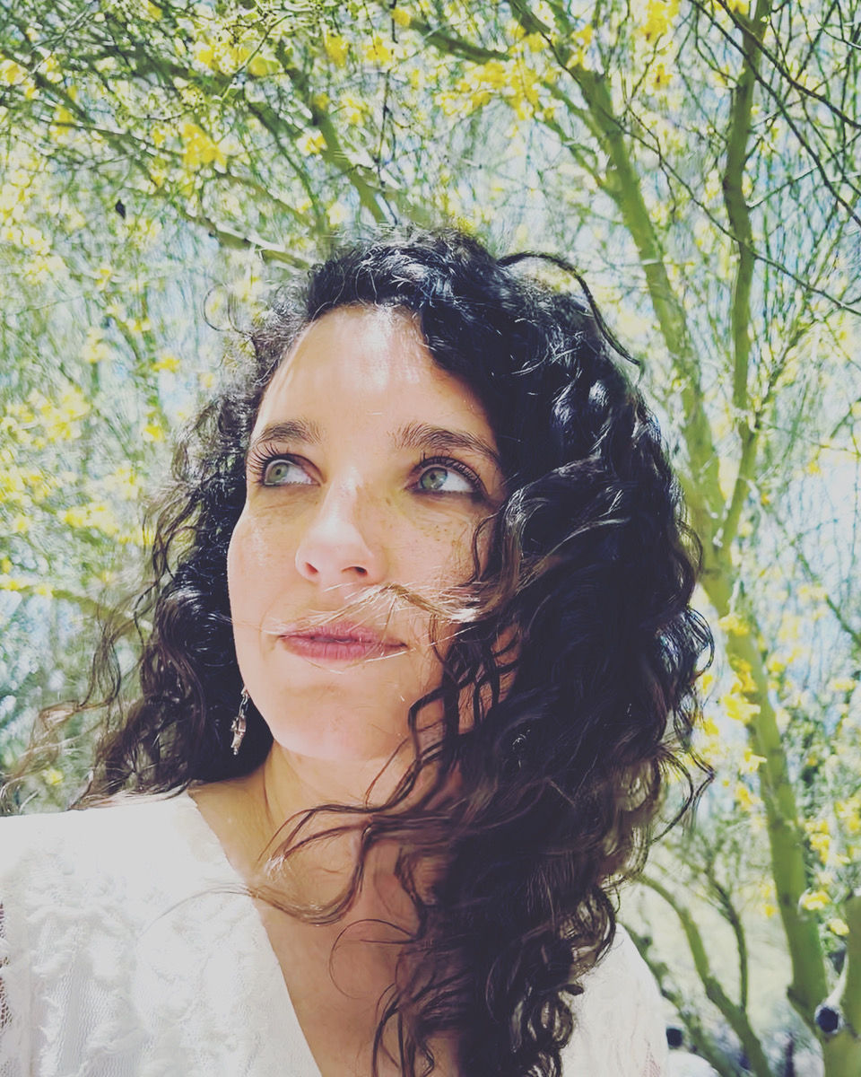 World Healing Meditation Ceremony Featuring: Speaker  and Musician - Elise Carver