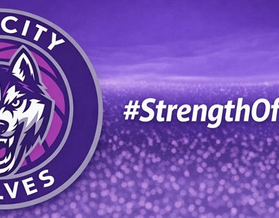 Welcome Bay City Wolves