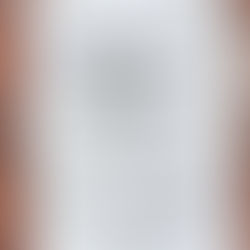 Phoebe Bridgers makes surprise appearance in Huntington, WV