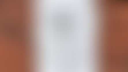 Phoebe Bridgers makes surprise appearance in Huntington, WV