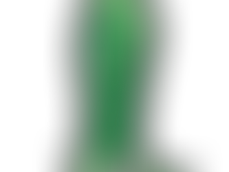 The emerald craze: Green Beer Day returns to Athens