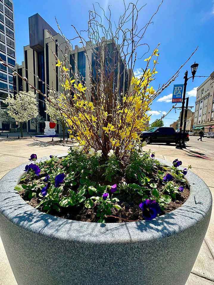 flowers.jpg