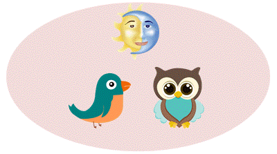 Do You Exercise as an Early Bird or Night Owl?