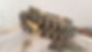 20210804_164543_edited.jpg