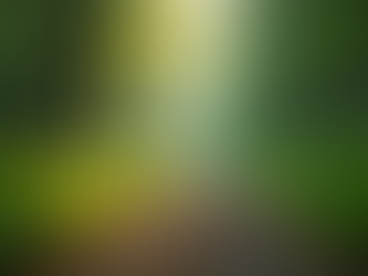 Psychedelic Integration: Unlocking Your Inner Potential