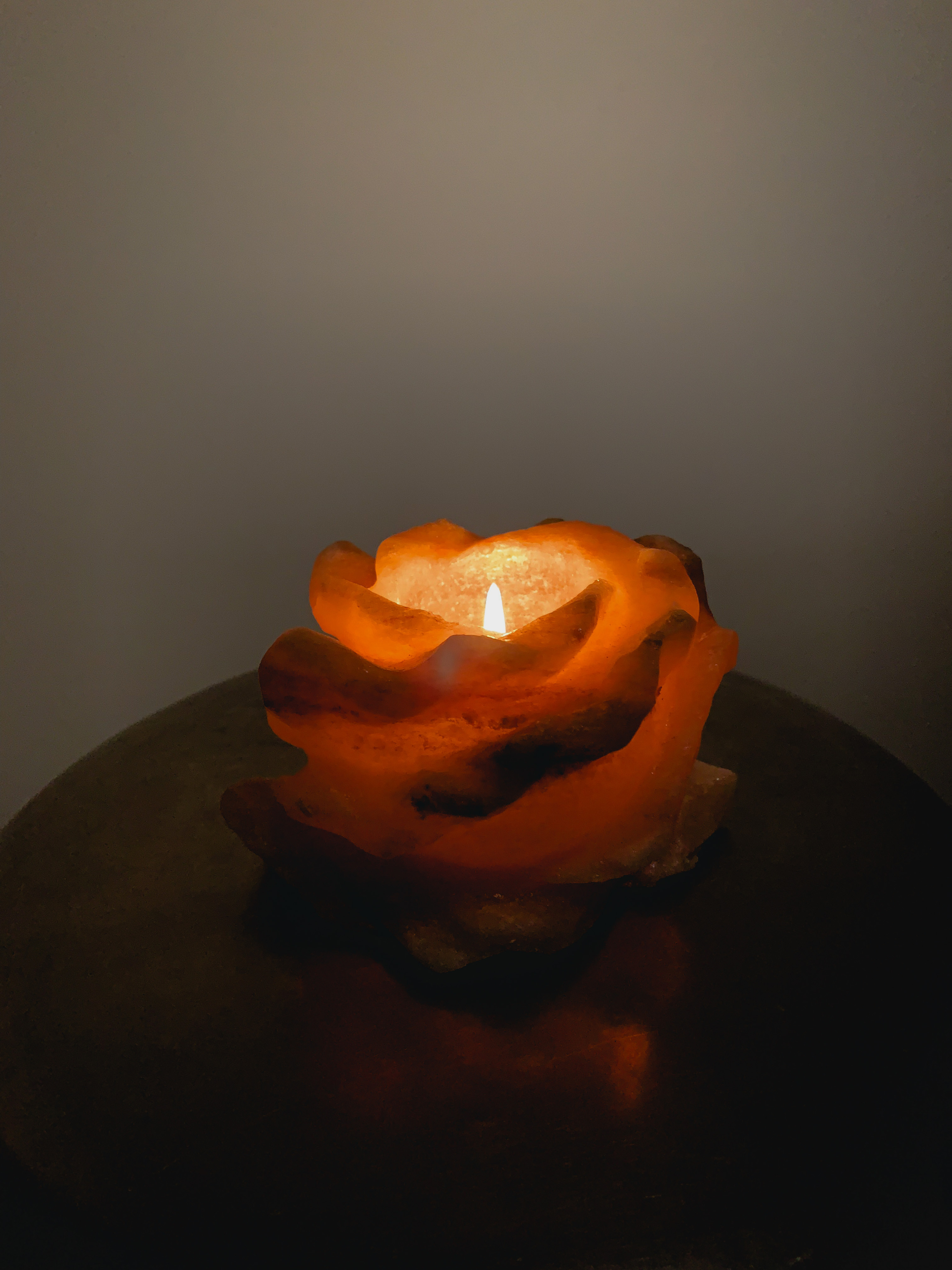 Copper Rose