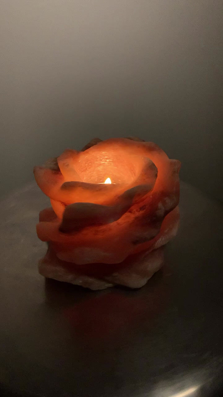 Thumbnail: Copper Rose