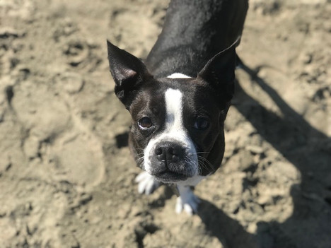 Love Stories: Sammy