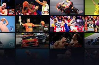 Sports screens