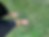 bare feet standing in grass