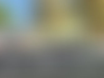 “미군 참전용사들의 희생 기려요”