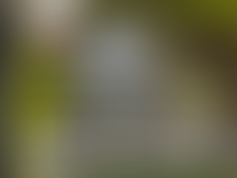 EFES ICJSC 2025 4Q Financial Performance Summary/Review