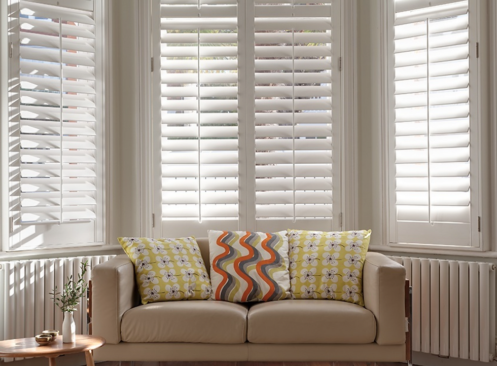 Bay window shutter over radiator