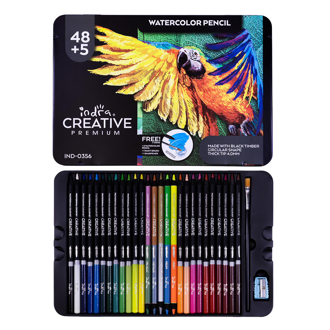 LÁPICES DE COLORES 48+5 PZAS.