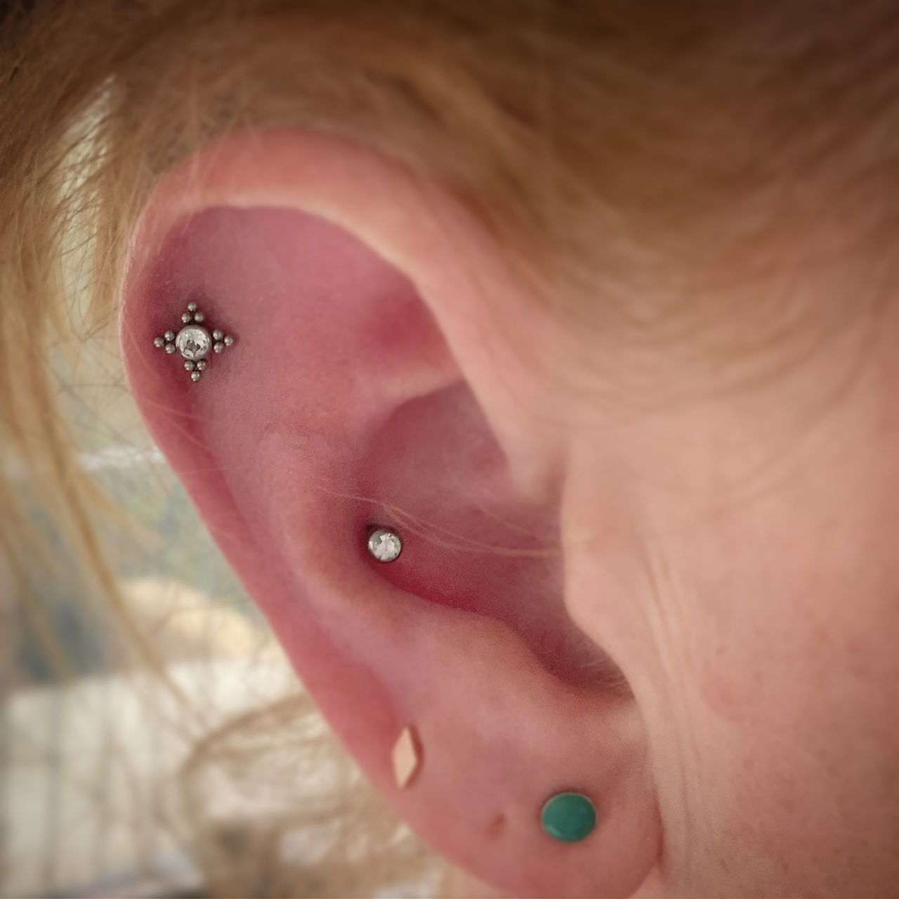 conch and helix 