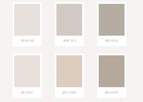Nude color palette_edited.png