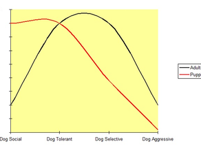 Dog to dog sociability