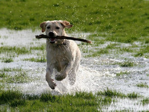 Let the heart follow the head.