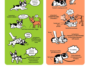 Calm and relaxed? or shutdown?