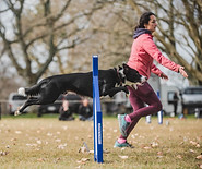 A woman with her border collie