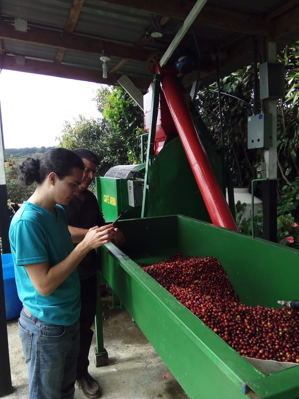 Miniatura: Café MORALITO Tarrazú Proceso Miel (250 gramso)