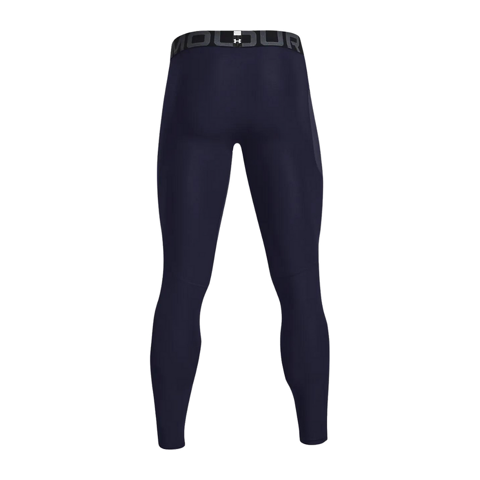 Thumbnail: WFGA | UA HG Armour Leggings