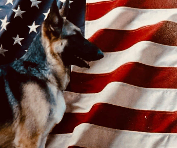 gabbie with flag.jfif