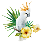white Parrot