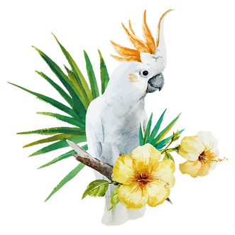 JEREN FLORISTERIA
