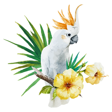 white Parrot