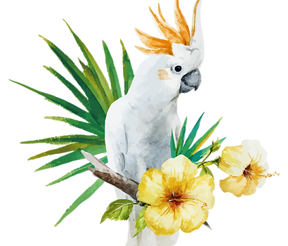 white Parrot