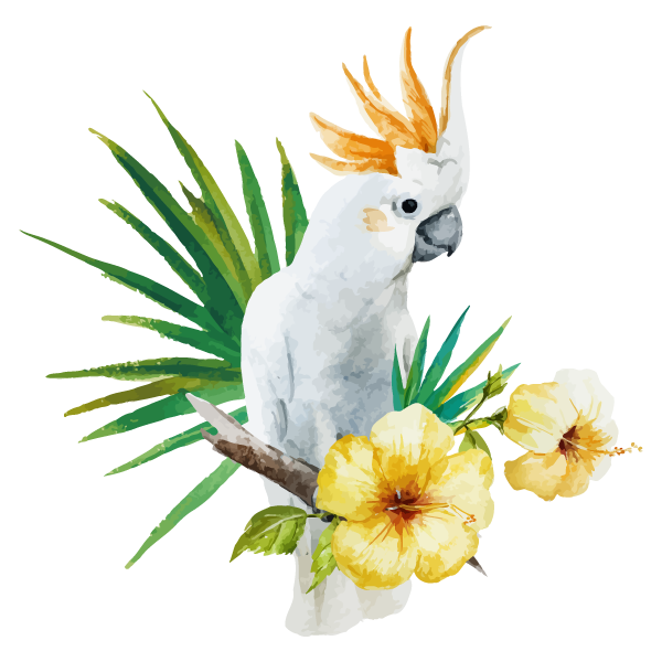 White Parrot