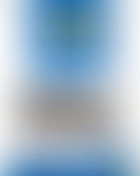 Amazon Daily Bestsellers: Top Pet Supplies for Your Furry Friends