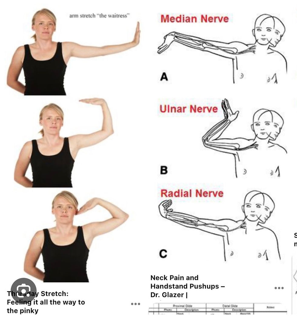 Unraveling the Wonders of Nerve Flossing A Guide to Mobility and Pain
