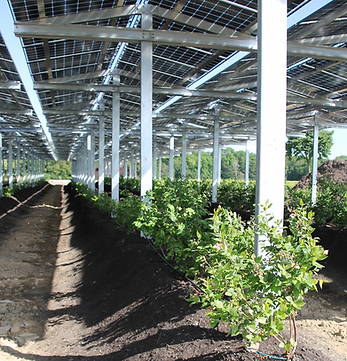 Kooperation Irrigation Netz EWIA_hoch.png
