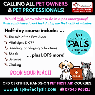 Advertising for forthcoming Pet First Aid course - course content