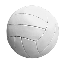 Netball Ball Image.png