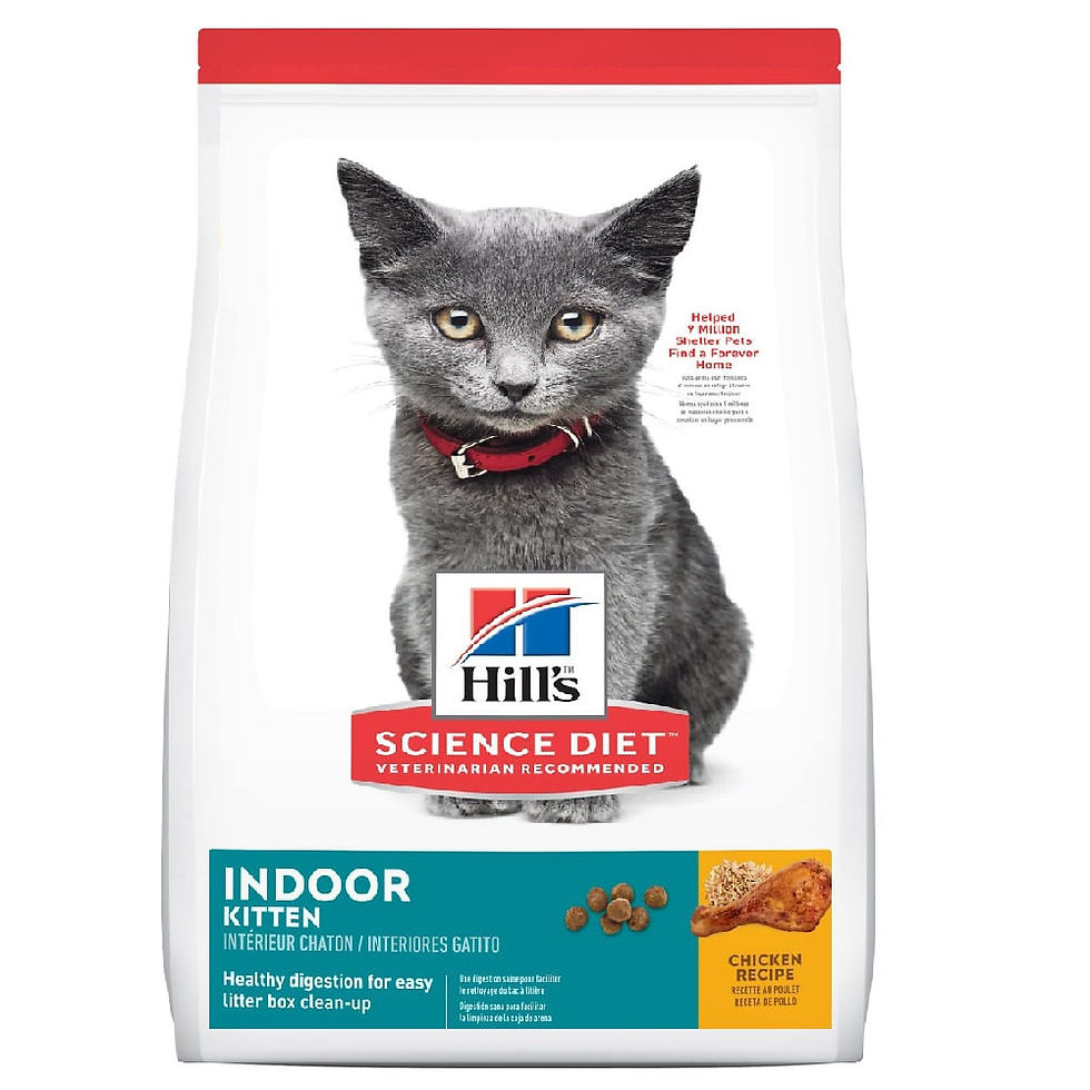 Hills Kitten Indoor