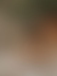 Vad ska vi ha för kläder till fotograferingen?