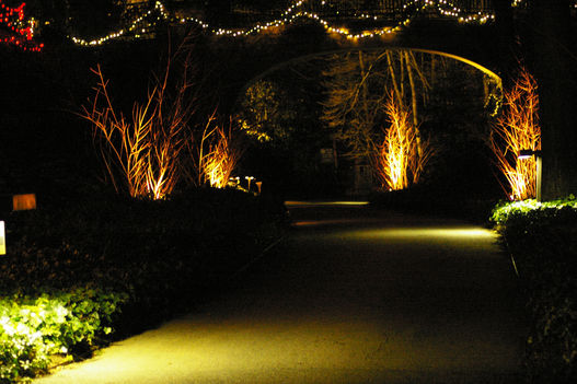 Dramatic Holiday Lighting